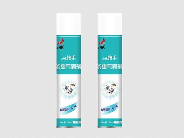 B10二鹏抢手杀虫气雾剂
