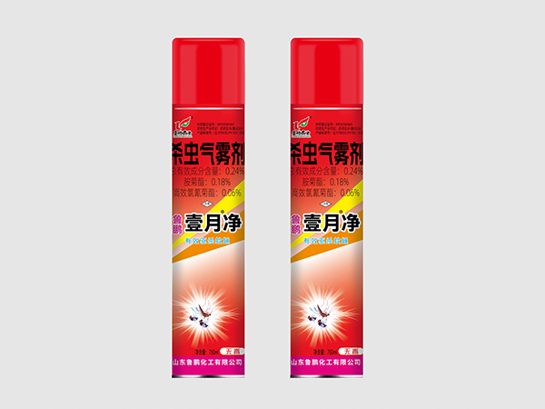 A8壹月净杀虫气雾剂
